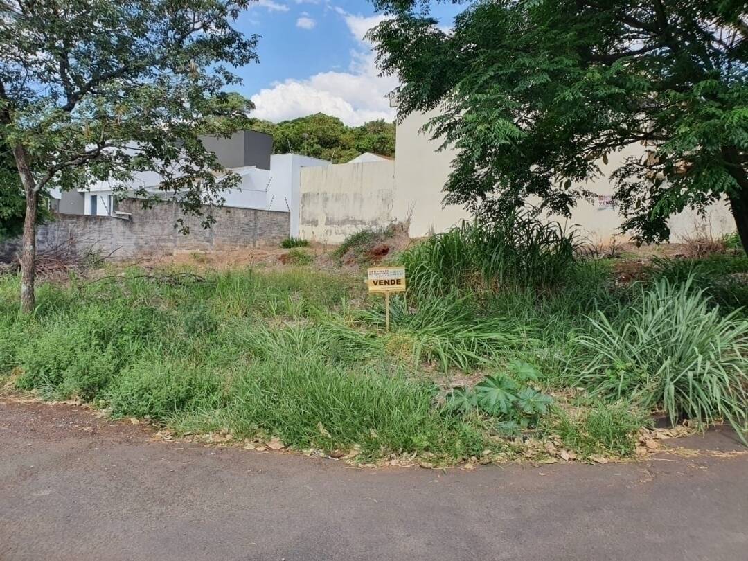 #10 - Terreno para Venda em Arapongas - PR