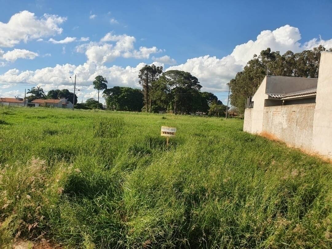 #100 - Terreno para Venda em Arapongas - PR