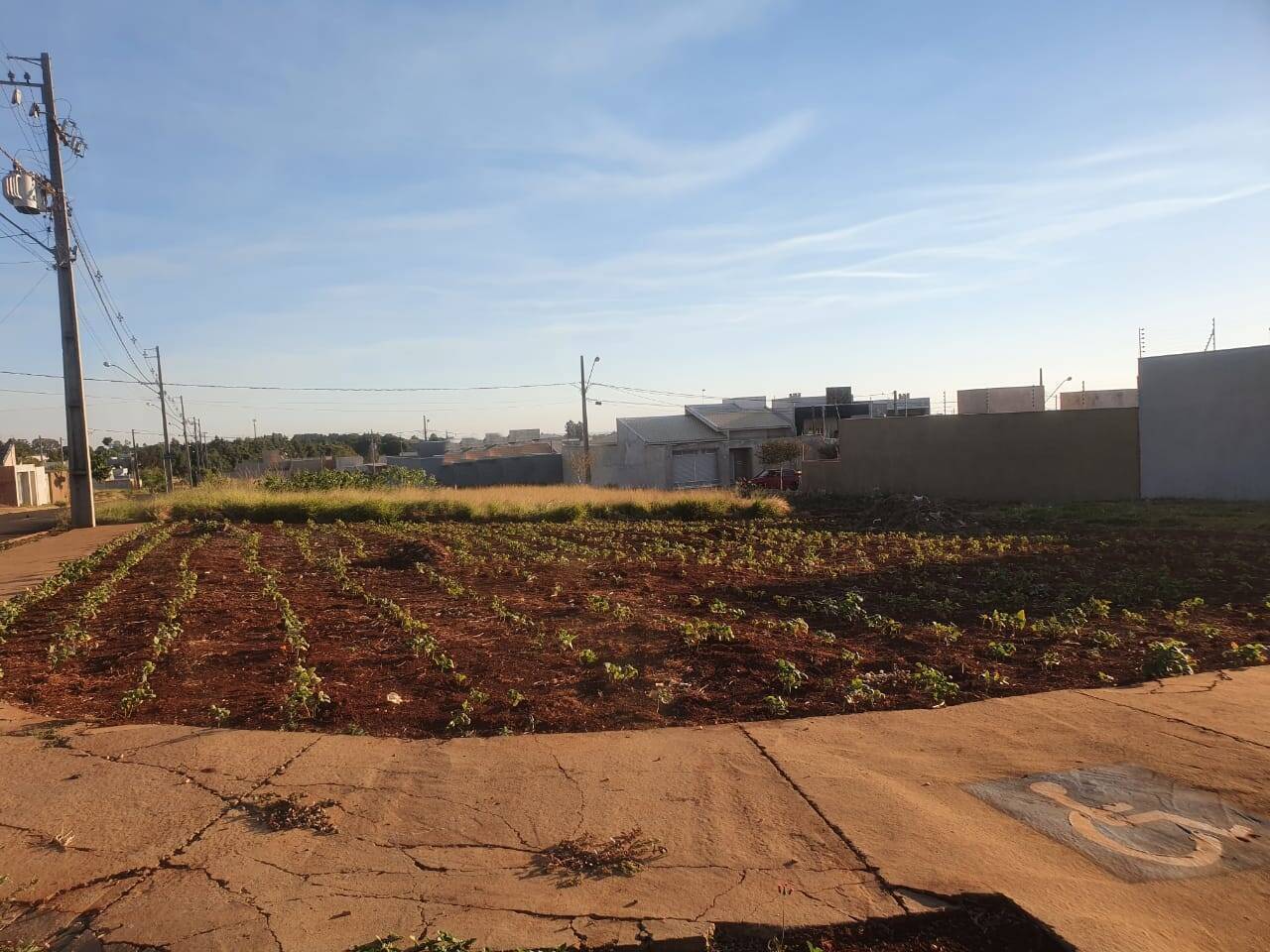 #336 - Terreno para Venda em Arapongas - PR