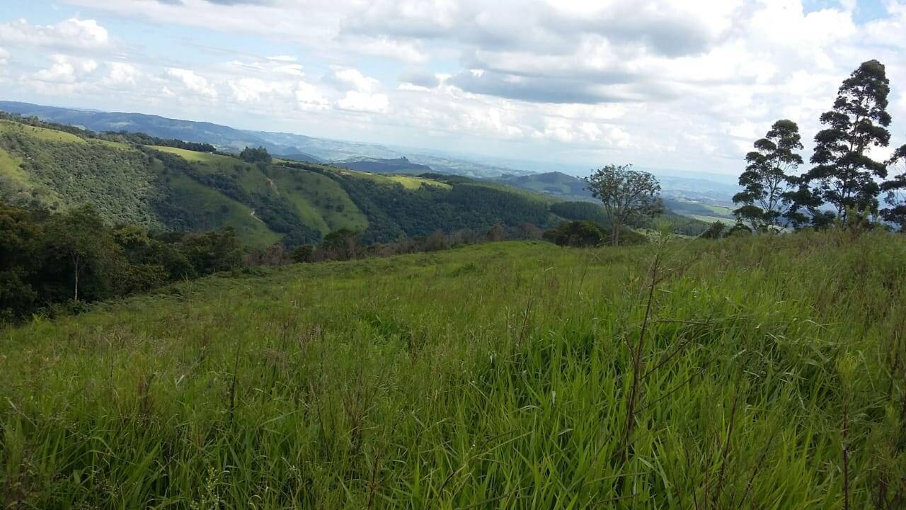 #767 - Fazenda para Venda em Cândido de Abreu - PR