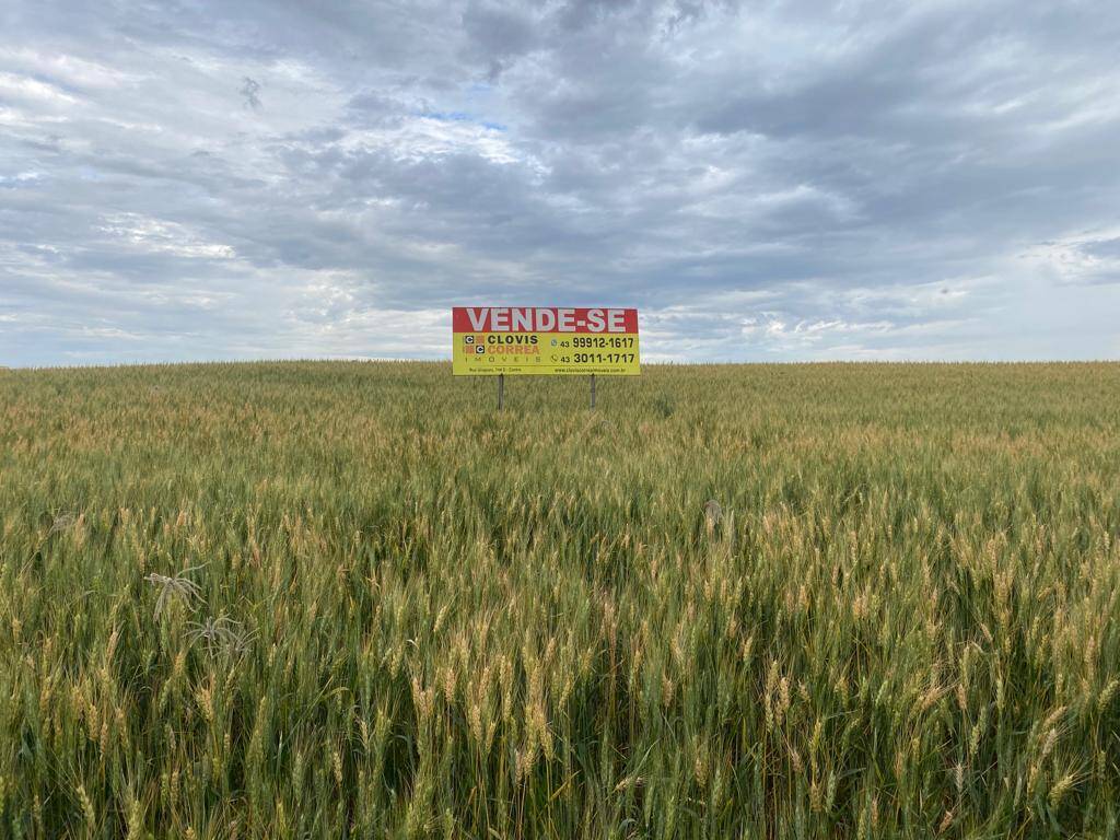 #1131 - Ponto Comercial para Venda em Arapongas - PR