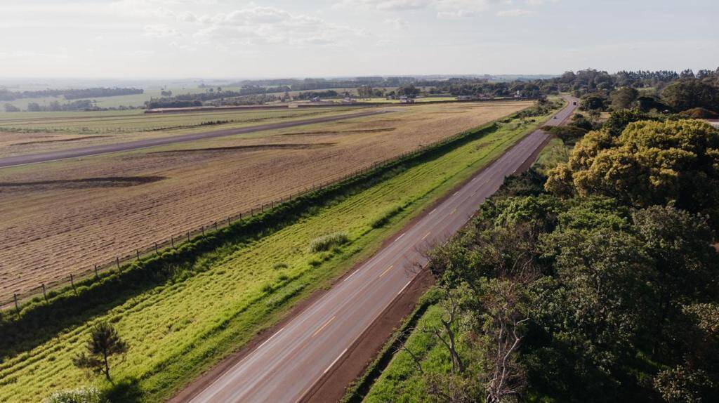 #1239 - Chácara para Venda em Arapongas - PR