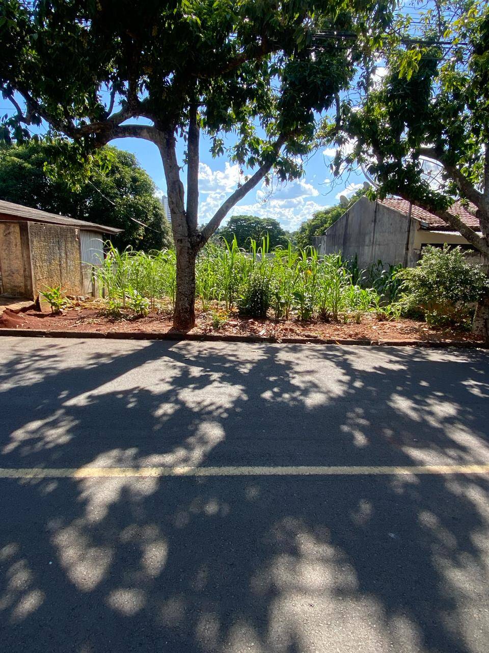 #1287 - Terreno para Venda em Arapongas - PR