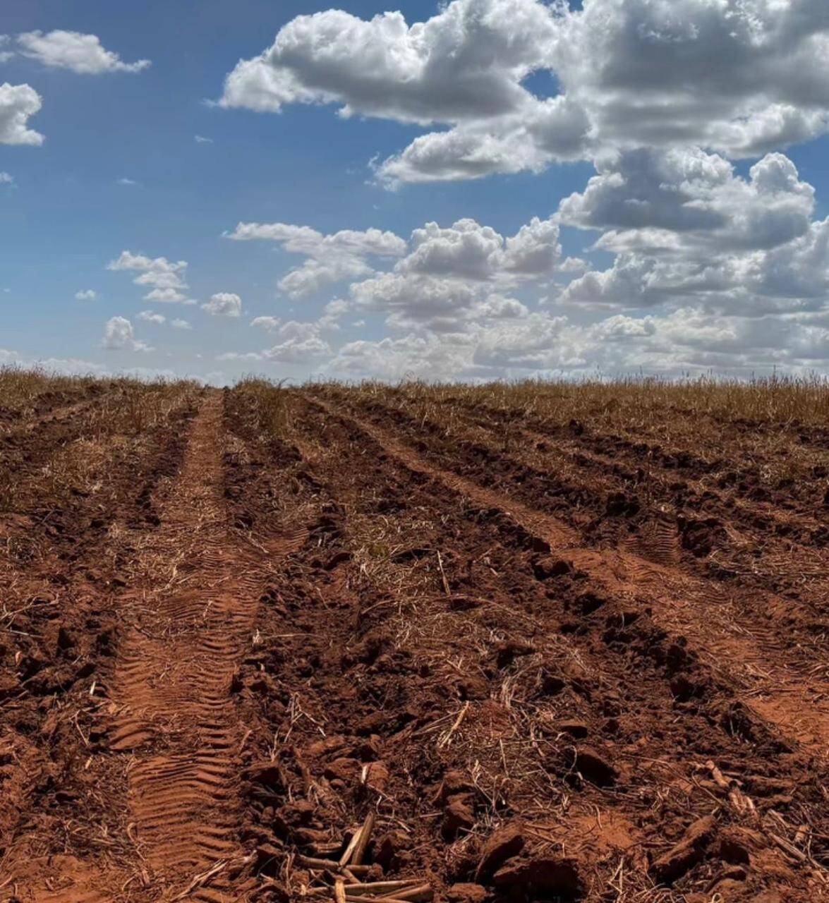 #1687 - Fazenda para Venda em Arapongas - PR