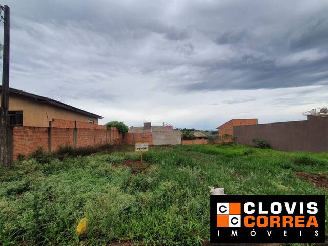 #51 - Terreno para Venda em Arapongas - PR