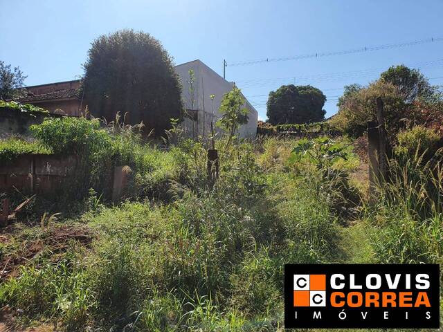 Terreno para Venda em Arapongas - 4
