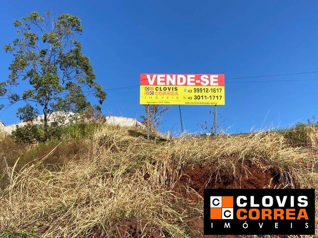 #269 - Área para Incorporação para Venda em Apucarana - PR - 2