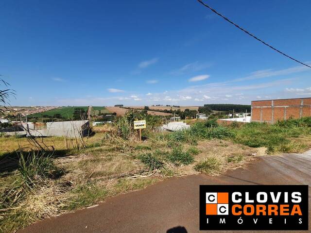 #239 - Terreno para Venda em Arapongas - PR
