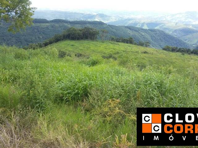 #767 - Fazenda para Venda em Cândido de Abreu - PR - 2