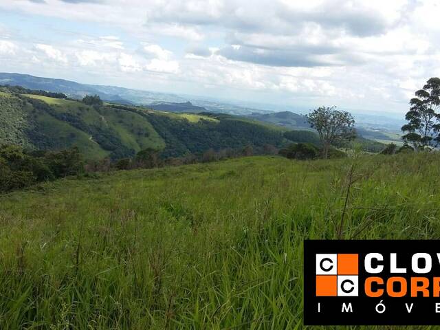 #767 - Fazenda para Venda em Cândido de Abreu - PR - 1