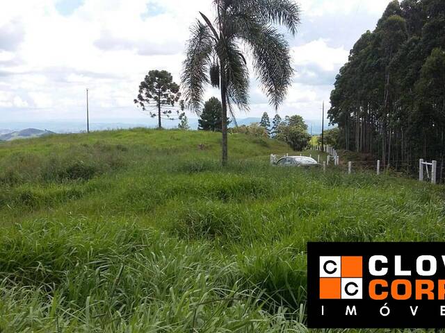 #767 - Fazenda para Venda em Cândido de Abreu - PR - 3