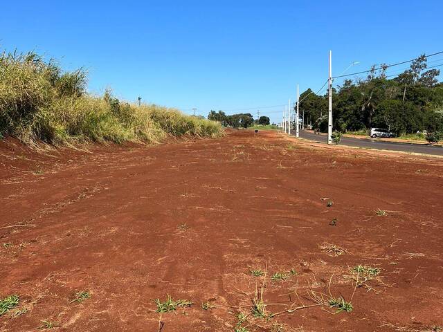 #1136 - Terreno para Venda em Arapongas - PR - 1