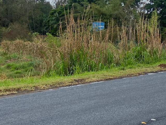 #1264 - Terreno para Venda em Sabáudia - PR - 1