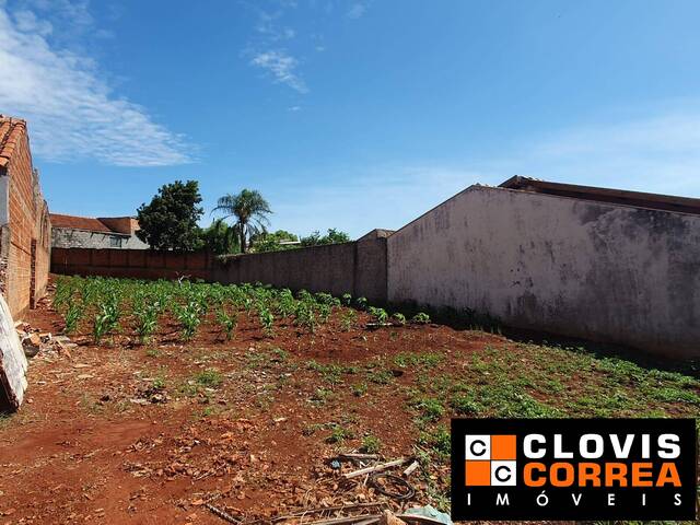#710 - Terreno para Venda em Arapongas - PR