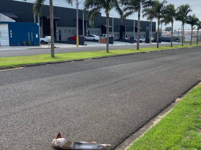 Barracão para Venda em Arapongas - 4