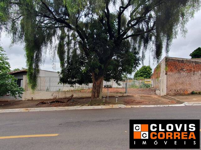 #1456 - Área para Venda em Arapongas - PR