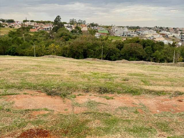 #1611 - Área para Venda em Arapongas - PR