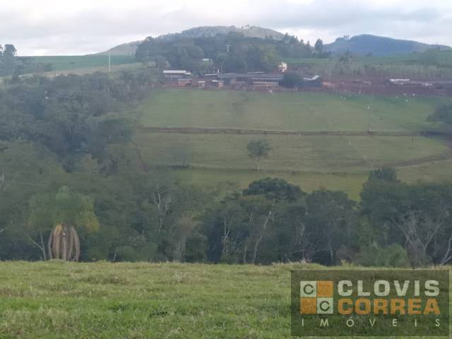 #1624 - Chácara para Venda em Arapongas - PR