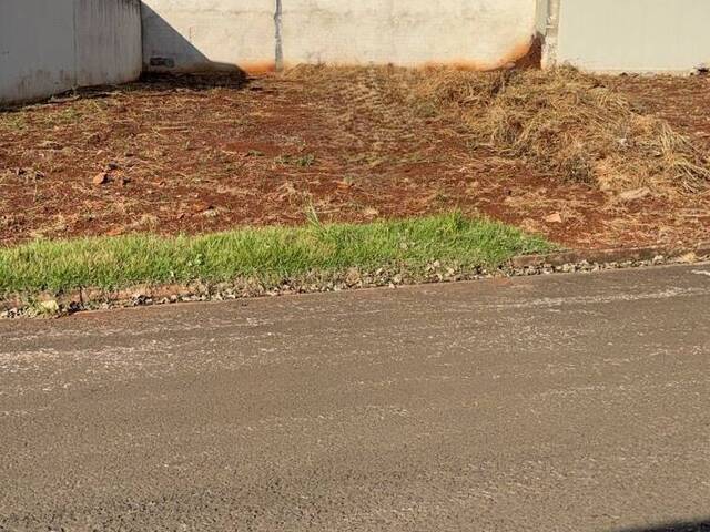 #1676 - Área para Venda em Arapongas - PR